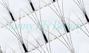 Russian Volume Premade Fans Lashes FD04A