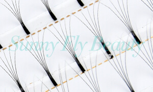 Russian Volume Premade Fans Lashes FD05A