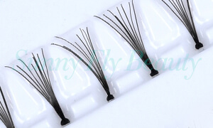 Premade Fans Flare Cluster Lashes FC08A